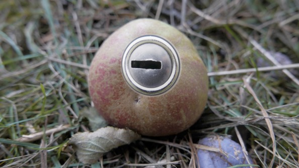 Äpfelchen Vorschaubild